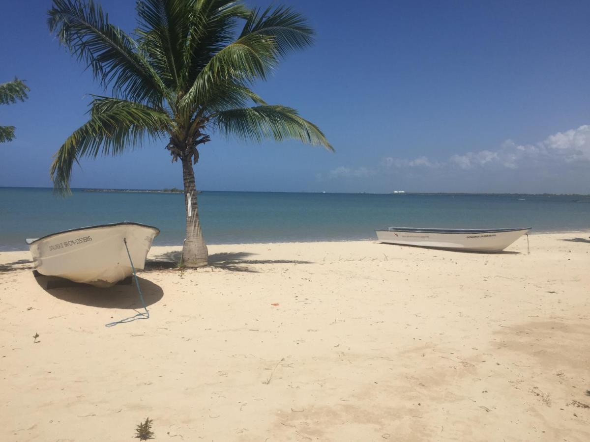 Villa Real Playa Nueva Romana La Romana Exteriér fotografie