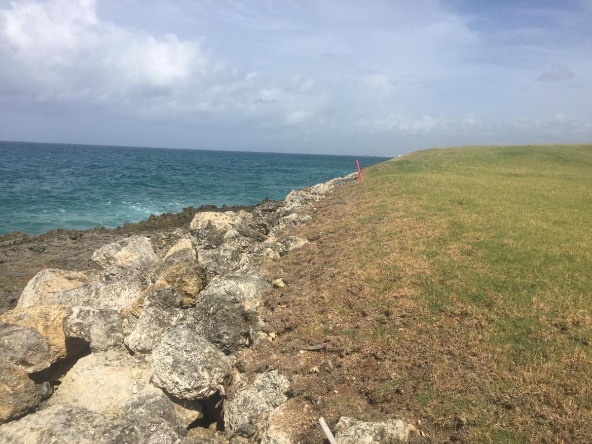 Villa Real Playa Nueva Romana La Romana Exteriér fotografie